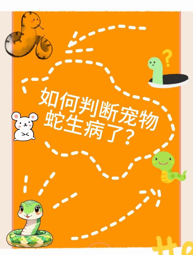 如何判斷白子招財龍是否健康？【如何判斷白子招財龍是否健康】 如何判斷白子招財龍是否健康？【如何判斷白子招財龍是否健康】 龍魚百科 第1張