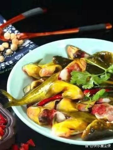 安居龍魚(yú)店【安居龍魚(yú)店有哪些品種能提供更多龍魚(yú)店鋪信息嗎】