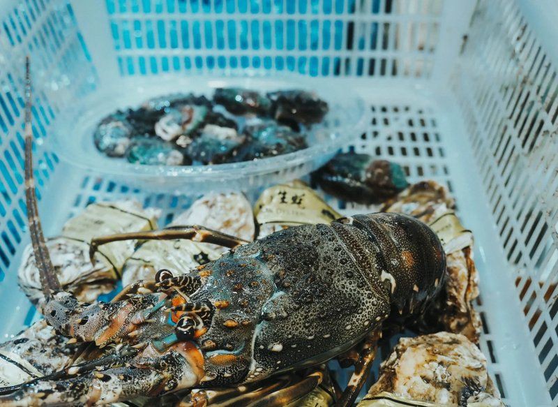 貴陽水族批發(fā)市場(chǎng)【新華網(wǎng)貴州頻道，貴陽南明區(qū)海鮮市場(chǎng)探秘】