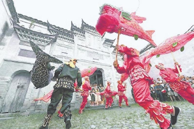 泉州龍魚店【泉州龍魚之家陳列龍魚文化探微——】