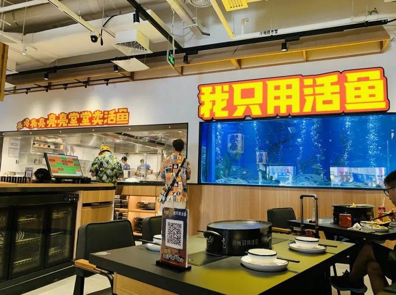 萍鄉龍魚店【舌尖上的萍鄉之龍魚店】 全國水族館企業名錄 第9張 萍鄉龍魚店【舌尖上的萍鄉之龍魚店】 萍鄉龍魚店【舌尖上的萍鄉之龍魚店】 全國水族館企業名錄 第9張
