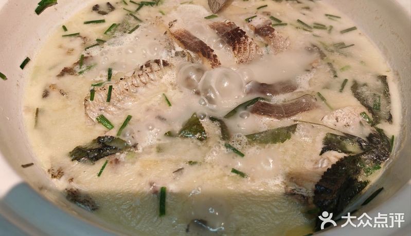 萍鄉龍魚店【舌尖上的萍鄉之龍魚店】 全國水族館企業名錄 第11張 萍鄉龍魚店【舌尖上的萍鄉之龍魚店】 萍鄉龍魚店【舌尖上的萍鄉之龍魚店】 全國水族館企業名錄 第11張
