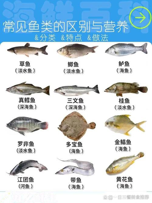 100種魚圖片【100種魚圖片《100種魚圖片》匯聚了豐富多樣的魚類影像資料】 100種魚圖片【100種魚圖片《100種魚圖片》匯聚了豐富多樣的魚類影像資料】 龍魚論壇 第14張
