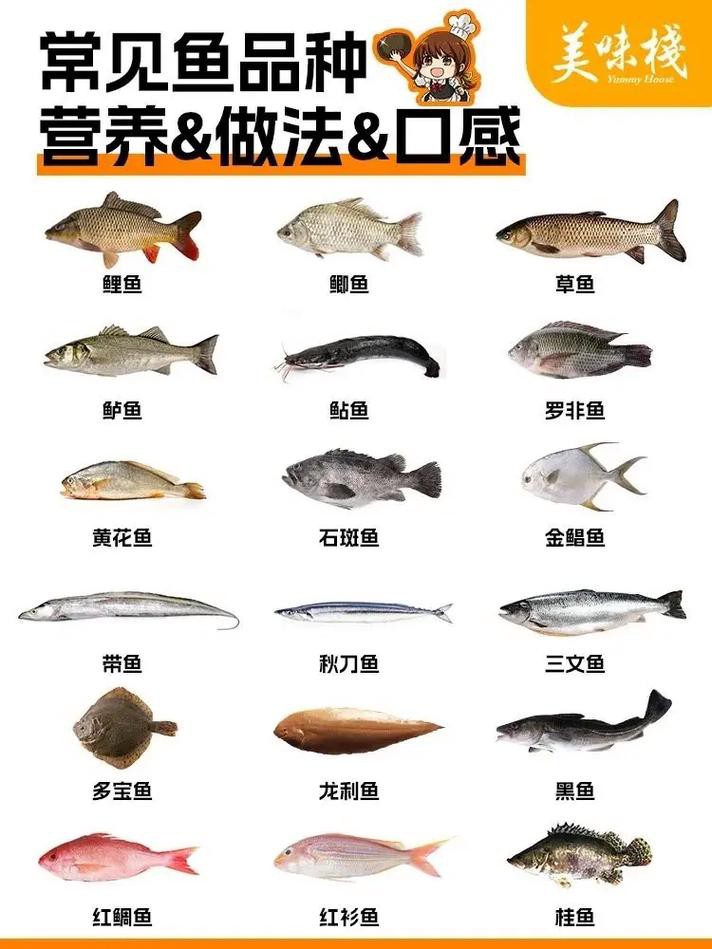 100種魚圖片【100種魚圖片《100種魚圖片》匯聚了豐富多樣的魚類影像資料】 100種魚圖片【100種魚圖片《100種魚圖片》匯聚了豐富多樣的魚類影像資料】 龍魚論壇 第20張