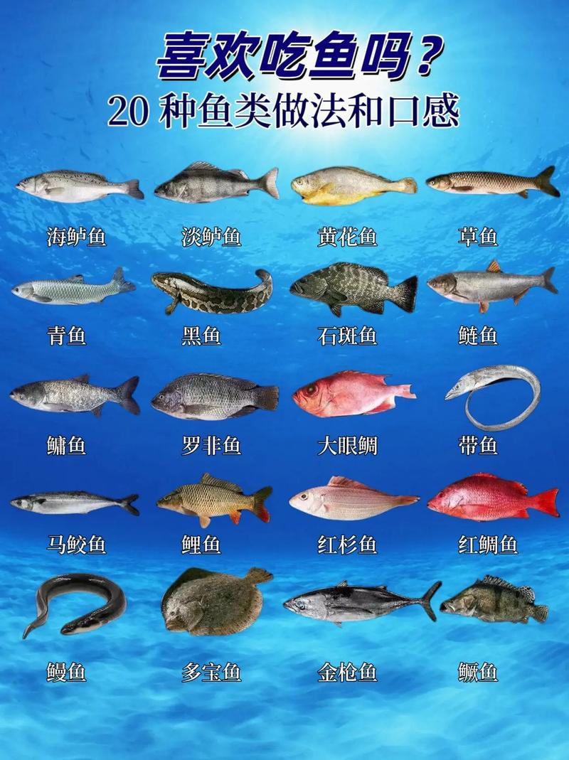 100種魚圖片【100種魚圖片《100種魚圖片》匯聚了豐富多樣的魚類影像資料】 100種魚圖片【100種魚圖片《100種魚圖片》匯聚了豐富多樣的魚類影像資料】 龍魚論壇 第22張