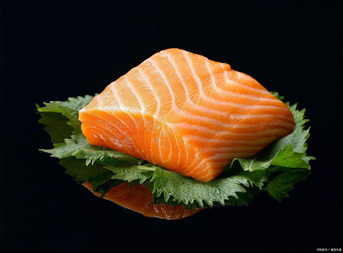 三紋魚一般多大【三文魚的體型特征、生長規(guī)律及其背后的生物學(xué)奧秘】 三紋魚一般多大【三文魚的體型特征、生長規(guī)律及其背后的生物學(xué)奧秘】 龍魚論壇 第3張