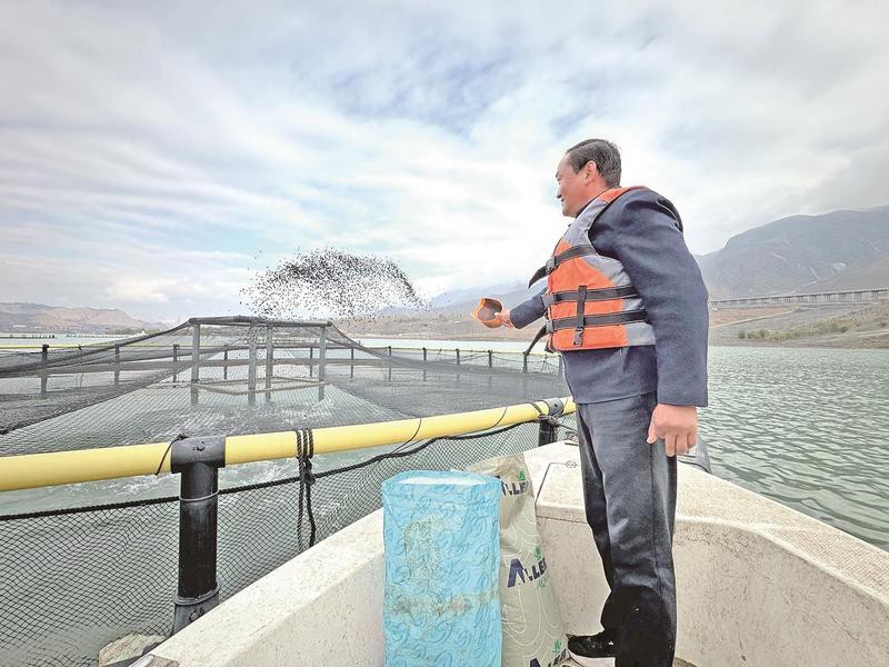 化隆水族店【化隆縣巴燕鎮(zhèn)本草缸木水族館】 化隆水族店【化隆縣巴燕鎮(zhèn)本草缸木水族館】 全國水族館企業(yè)名錄 第1張
