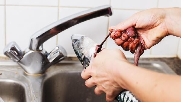 有哪些藥物可以治療龍魚翻鰓？【龍魚常見問題—翻腮帝龍阿輝】 有哪些藥物可以治療龍魚翻鰓？【龍魚常見問題—翻腮帝龍阿輝】 龍魚百科 第4張