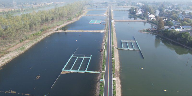 湖州水族批發市場【湖州水族批發市場是當地重要的特色商貿集散地】