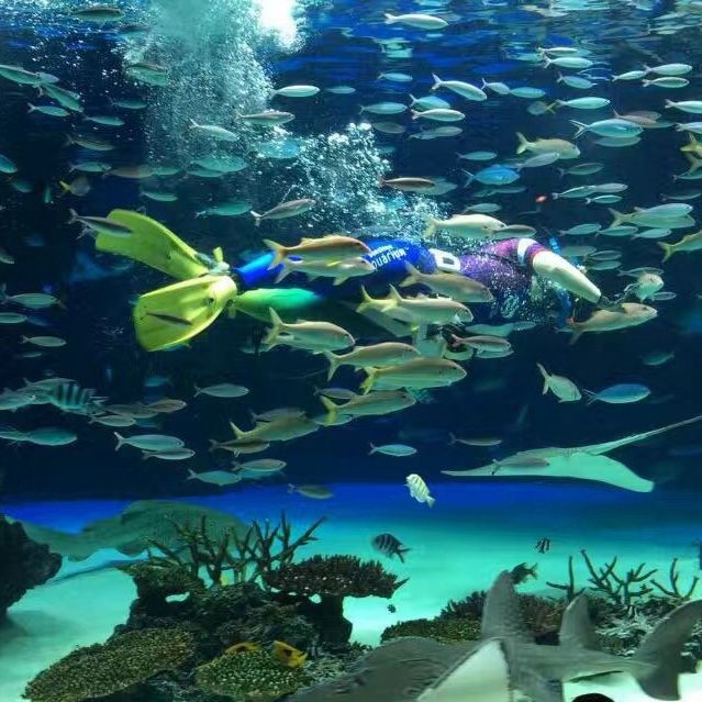 <strong><mark>茂名</mark></strong>水族店【<strong><mark>茂名</mark></strong>人的“海洋世界”】