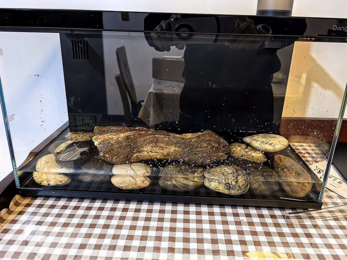 漳州魚缸定做【漳州魚缸定制服務】 全國水族館企業名錄 第14張 漳州魚缸定做【漳州魚缸定制服務】 漳州魚缸定做【漳州魚缸定制服務】 全國水族館企業名錄 第14張
