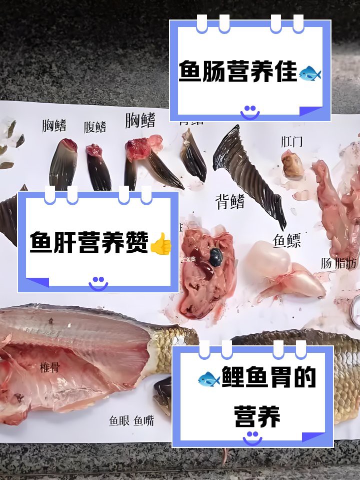 三道鱗內臟哪些能吃【三道鱗內臟的食用指南與營養價值全解析】