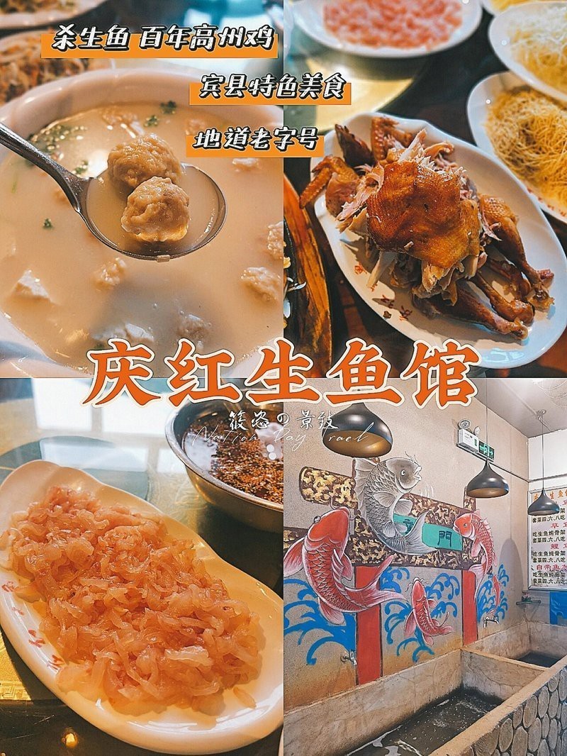 賓縣龍魚店【哈爾濱|打卡賓縣必吃生魚館品百年燒雞小夏不胖】