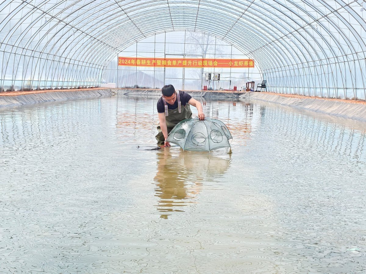 賓縣龍魚店【哈爾濱|打卡賓縣必吃生魚館品百年燒雞小夏不胖】