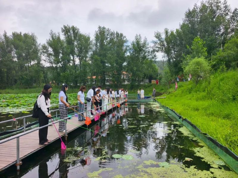 賓縣龍魚店【哈爾濱|打卡賓縣必吃生魚館品百年燒雞小夏不胖】