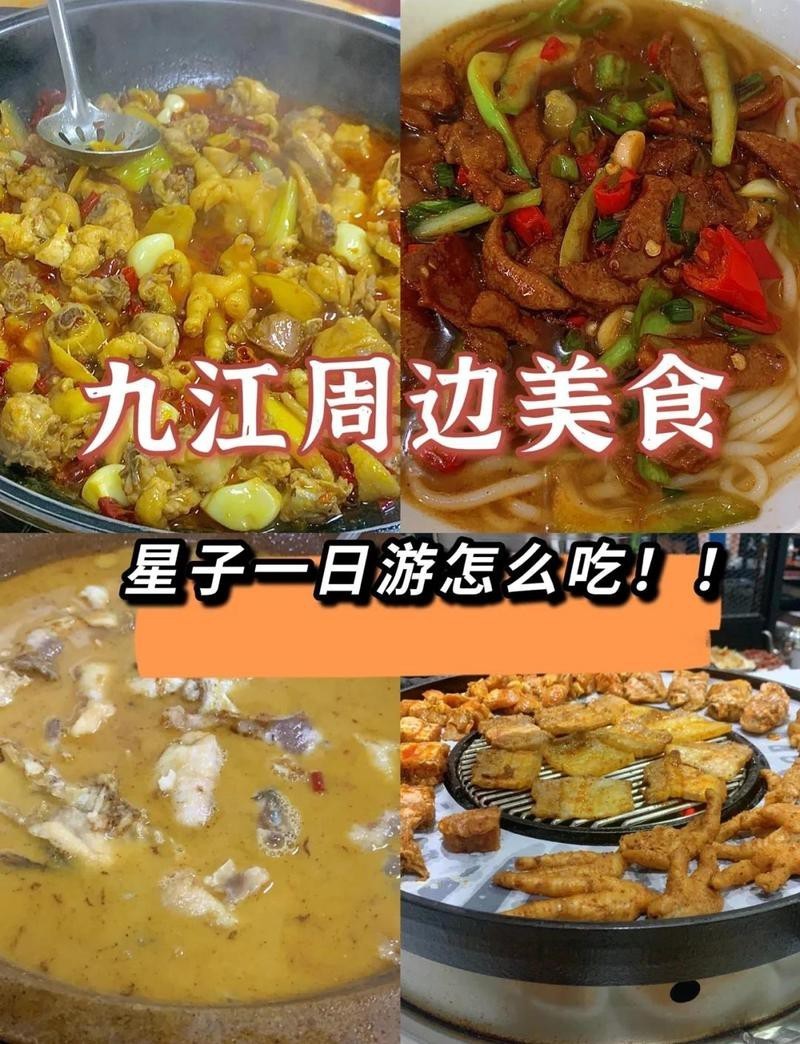 星子龍魚店【廣東星子龍魚店星子龍魚店300-400字】