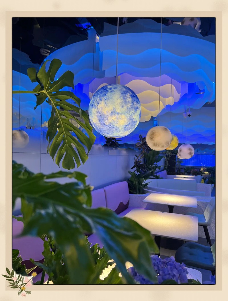 星子龍魚店【廣東星子龍魚店星子龍魚店300-400字】