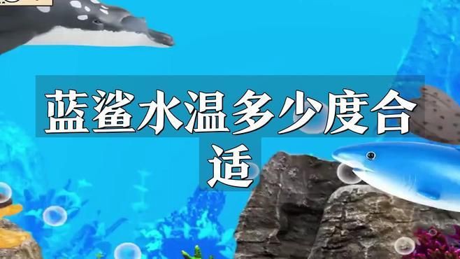 養藍鯊的10大忠告【《養藍鯊的10大忠告》】