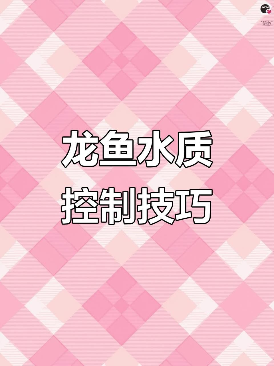 星點龍魚的最佳飼養環境是怎樣的？【星點龍魚飼養水質管理全攻略:如何換水避免水溫波動】