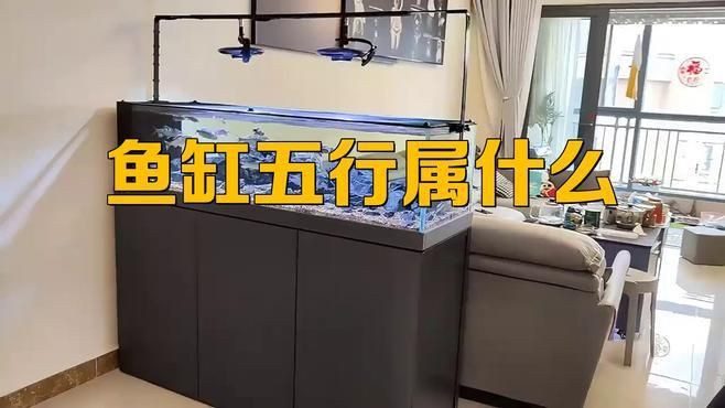 魚缸的形狀如何影響風水?【魚缸形狀與風水關系摘要,魚缸形狀與風水的關系摘要】 龍魚百科 第2張 魚缸的形狀如何影響風水?【魚缸形狀與風水關系摘要,魚缸形狀與風水的關系摘要】 魚缸的形狀如何影響風水?【魚缸形狀與風水關系摘要,魚缸形狀與風水的關系摘要】 龍魚百科 第2張