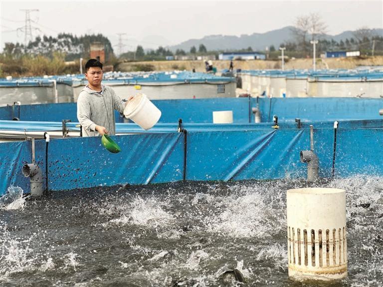 柳北龍魚店【柳州11家“第二批廣西非遺美食體驗(yàn)店”都有哪些】