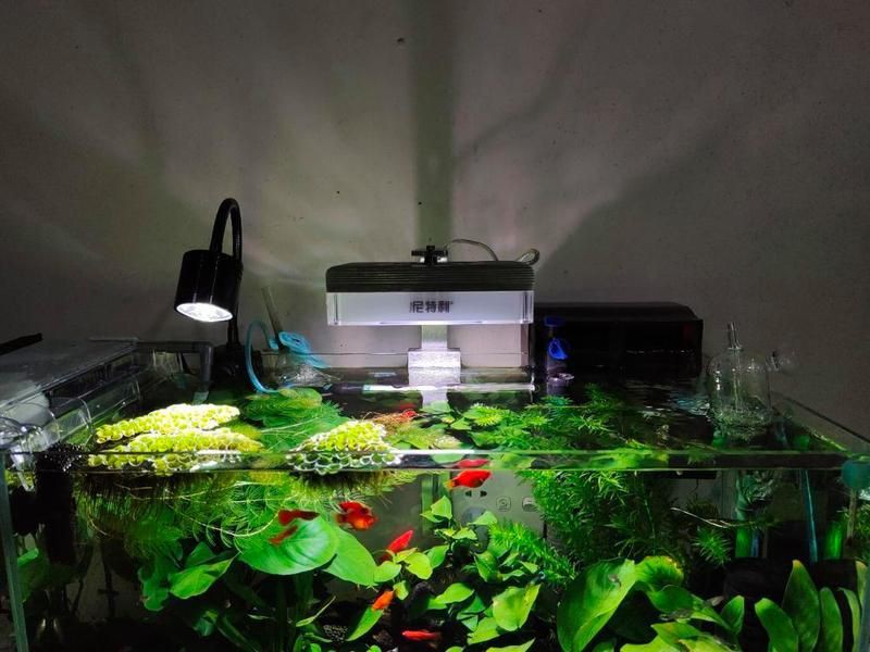 菏澤魚缸維護【菏澤地區的魚缸維護服務】 全國水族館企業名錄 第8張 菏澤魚缸維護【菏澤地區的魚缸維護服務】 菏澤魚缸維護【菏澤地區的魚缸維護服務】 全國水族館企業名錄 第8張