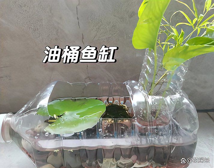 菏澤魚缸維護【菏澤地區的魚缸維護服務】 全國水族館企業名錄 第6張 菏澤魚缸維護【菏澤地區的魚缸維護服務】 菏澤魚缸維護【菏澤地區的魚缸維護服務】 全國水族館企業名錄 第6張