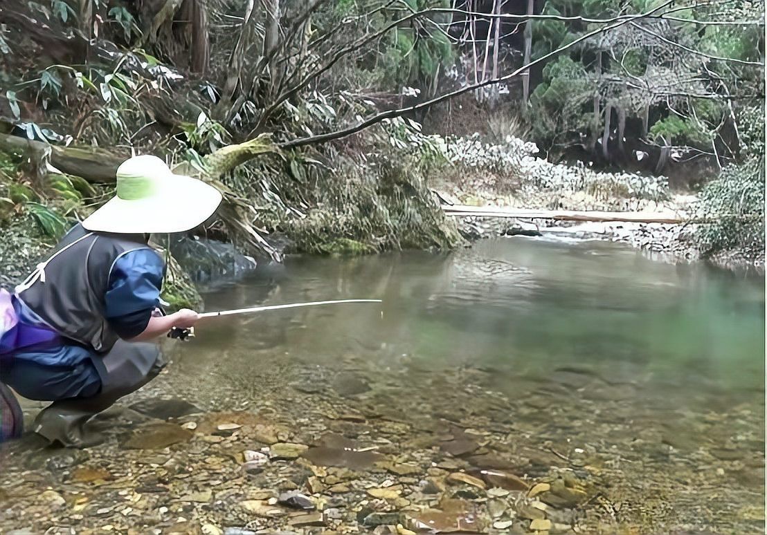 石爬子魚圖片大全【平武石爬子魚】