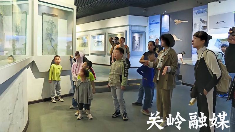 關嶺龍魚店，關嶺的龍魚店哪個口碑最好