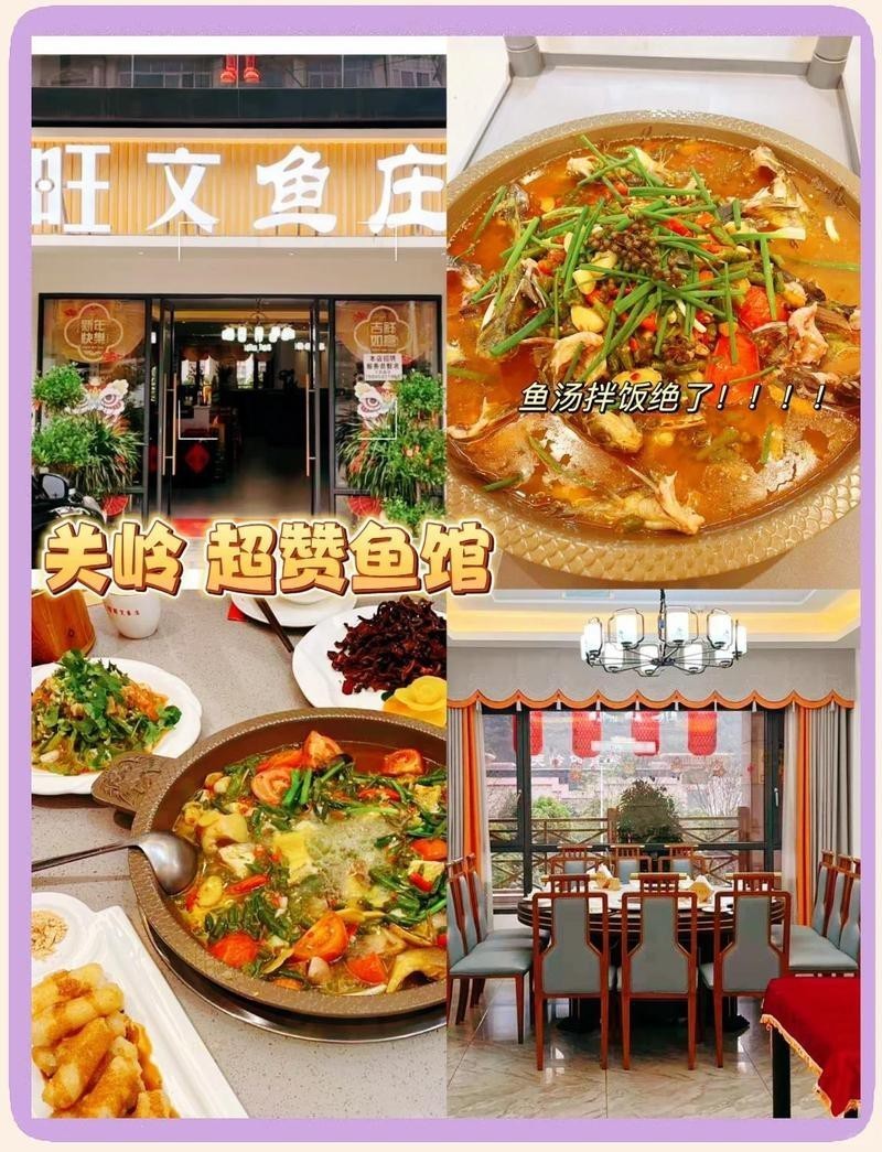 關嶺龍魚店，關嶺的龍魚店哪個口碑最好