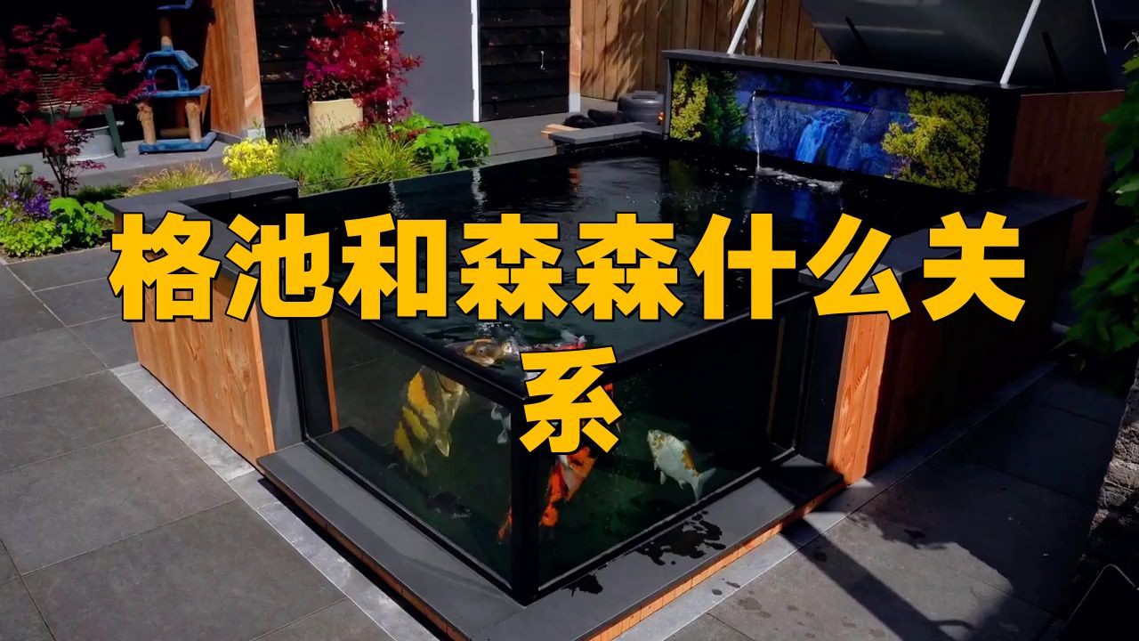 格池是森森高端品牌嗎【格池和森森什么關系？】