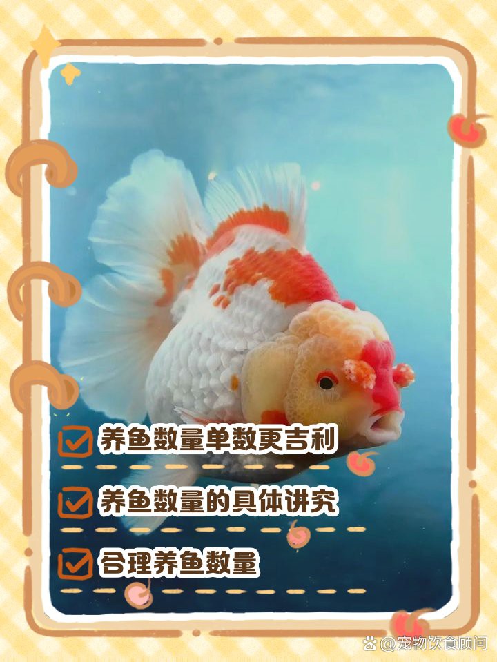 76龍女養(yǎng)幾條魚最吉利【76年龍女養(yǎng)魚風(fēng)水指南】