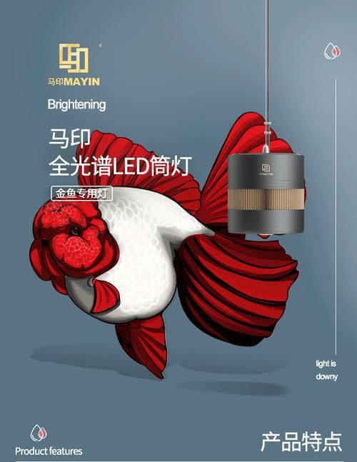 馬印水族爭艷燈價格表與圖片【馬印水族爭艷燈】 馬印水族爭艷燈價格表與圖片【馬印水族爭艷燈】 龍魚百科 第15張
