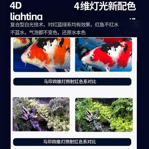 馬印水族爭艷燈價格表與圖片【馬印水族爭艷燈】 馬印水族爭艷燈價格表與圖片【馬印水族爭艷燈】 龍魚百科 第8張