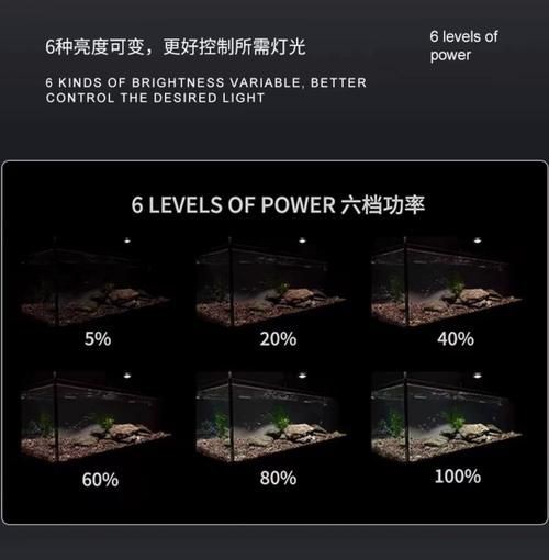 馬印水族爭艷燈價格表與圖片【馬印水族爭艷燈】 馬印水族爭艷燈價格表與圖片【馬印水族爭艷燈】 龍魚百科 第20張