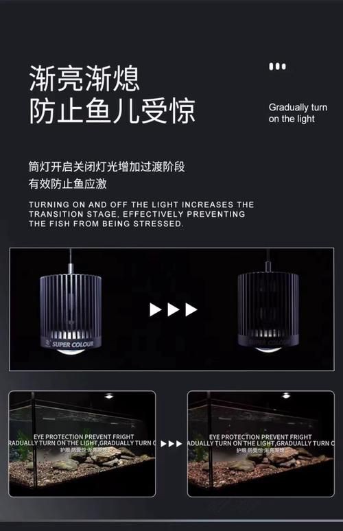 馬印水族爭艷燈價格表與圖片【馬印水族爭艷燈】 馬印水族爭艷燈價格表與圖片【馬印水族爭艷燈】 龍魚百科 第21張