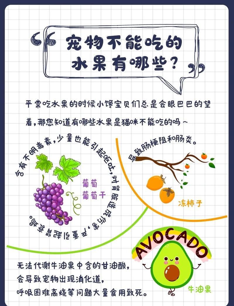 馬拉小紅龍最忌三種水果【《馬拉小紅龍最忌三種水果》】