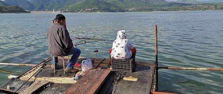 金龍鯽魚餌料套餐【金龍鯽魚餌料套餐專為垂釣愛好者精心設計】