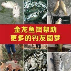 金龍鯽魚餌料套餐【金龍鯽魚餌料套餐專為垂釣愛好者精心設計】