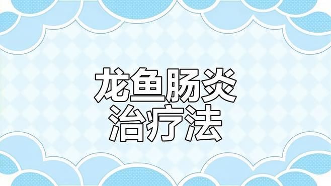 如何治療龍魚(yú)的腸炎？【《如何治療龍魚(yú)的腸炎》當(dāng)龍魚(yú)患上腸炎時(shí)】