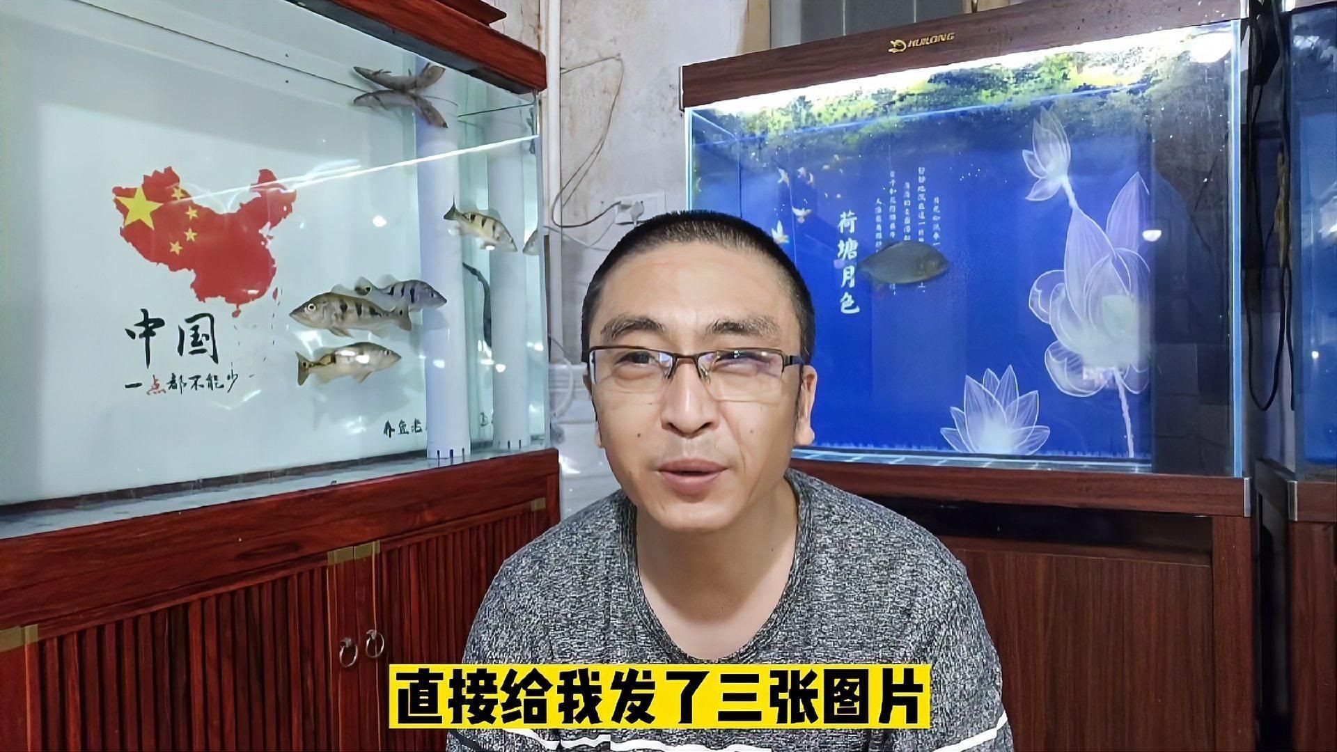 養魚新手需要注意什么【《養魚新手注意事項摘要》】