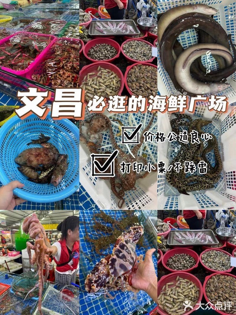 <strong><mark>文昌</mark></strong>龍魚店【<strong><mark>文昌</mark></strong>本地有龍魚專賣店嗎】