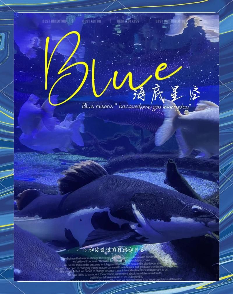 汕頭水族店【汕頭市eif水族專賣店】