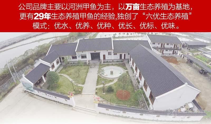 常德水族批發市場【常德市水產批發市場】