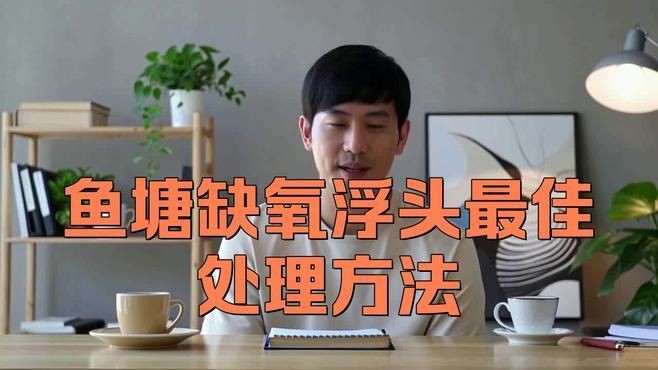 魚類浮頭后如何急救？【快運俠-行旅通魚浮頭最佳處理方法及應對方法】