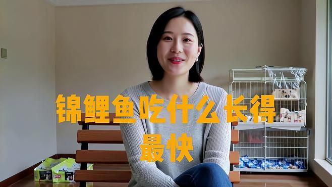 錦鯉魚飼料買哪種牌子好【2025年錦鯉魚飼料品牌的綜合選購指南】 龍魚百科 第5張 錦鯉魚飼料買哪種牌子好【2025年錦鯉魚飼料品牌的綜合選購指南】 錦鯉魚飼料買哪種牌子好【2025年錦鯉魚飼料品牌的綜合選購指南】 龍魚百科 第5張