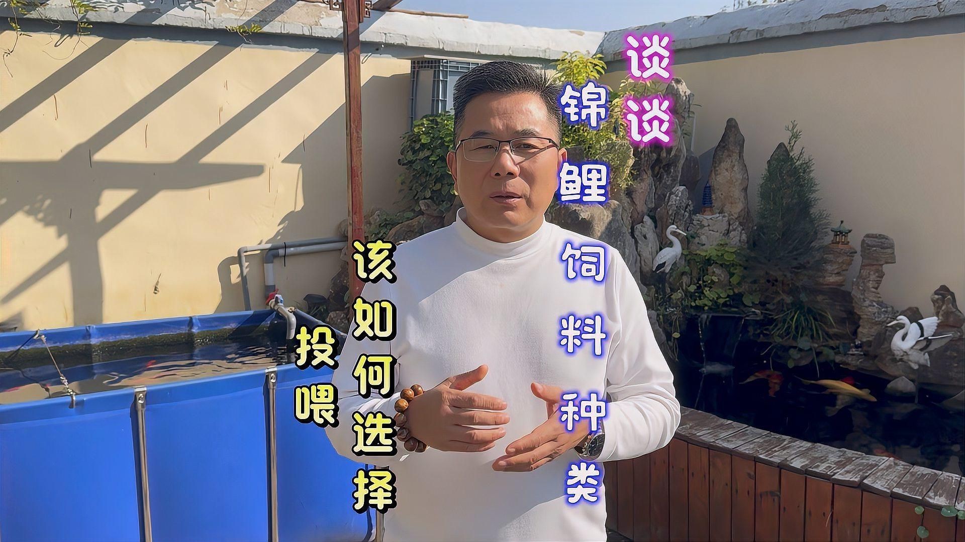 錦鯉魚飼料買哪種牌子好【2025年錦鯉魚飼料品牌的綜合選購指南】 龍魚百科 第12張 錦鯉魚飼料買哪種牌子好【2025年錦鯉魚飼料品牌的綜合選購指南】 錦鯉魚飼料買哪種牌子好【2025年錦鯉魚飼料品牌的綜合選購指南】 龍魚百科 第12張