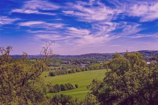 夢見烏龜代表彩票數字【《夢見烏龜代表彩票數字》】