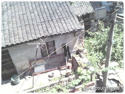 夢見烏龜代表彩票數字【《夢見烏龜代表彩票數字》】