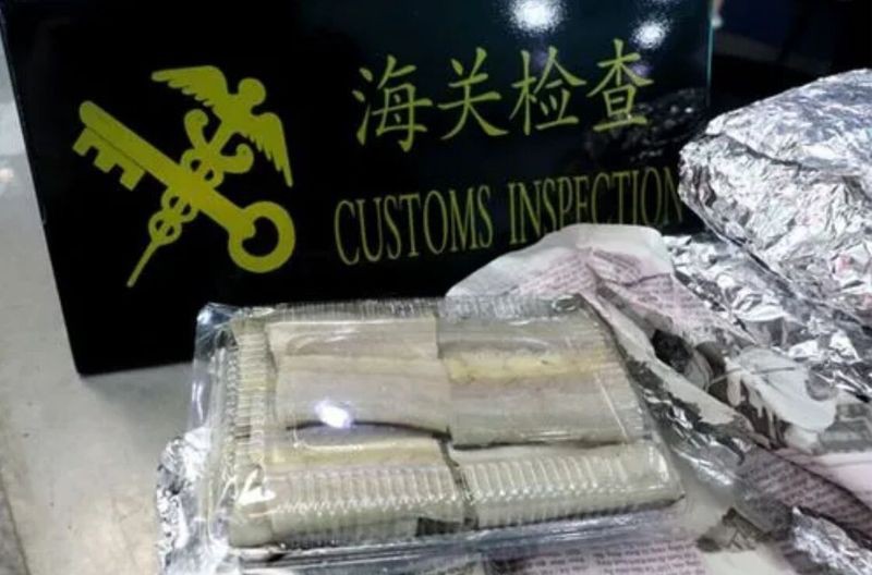 馬來西亞帶魚【馬來西亞冷凍帶魚進口清關流程】 馬來西亞帶魚【馬來西亞冷凍帶魚進口清關流程】 龍魚百科 第2張